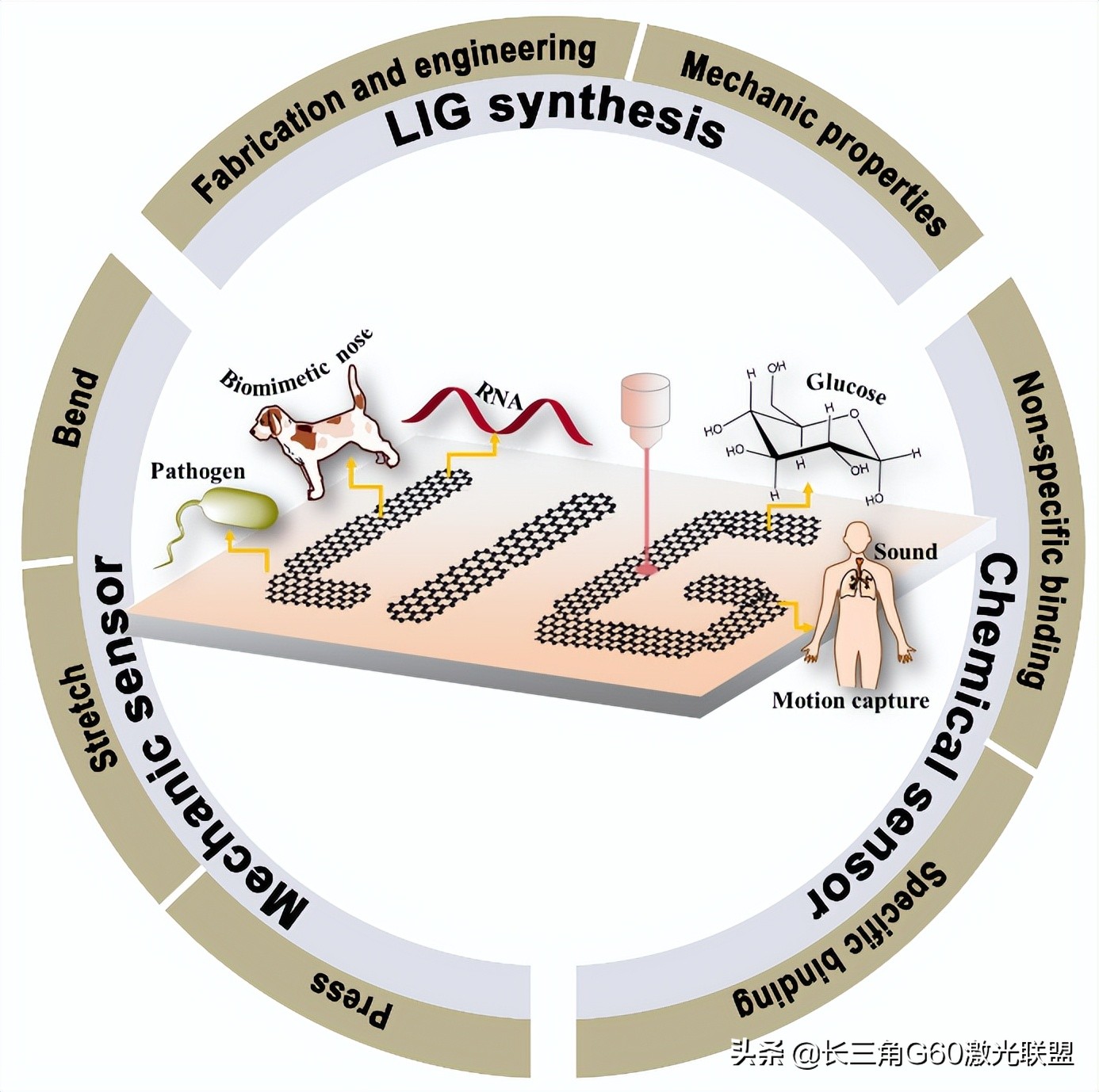 综述：激光诱导石墨烯在智能传感方向的应用