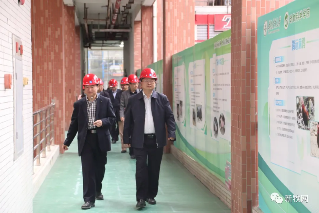 再也不用担心广东土猪土鸡会灭种了！投资5000万元的广东省畜禽种质资源库建成投入运行