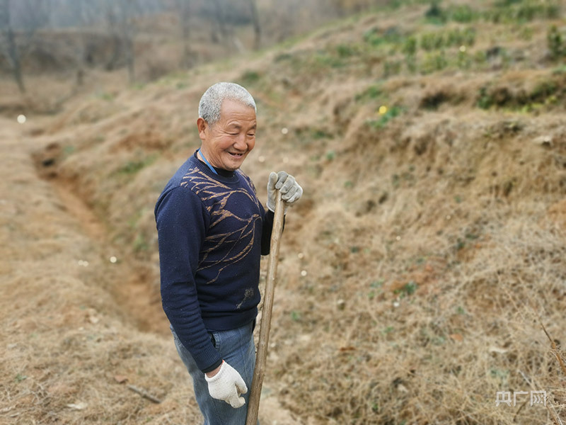 远山的回响丨他用“一片叶子”带老乡致富