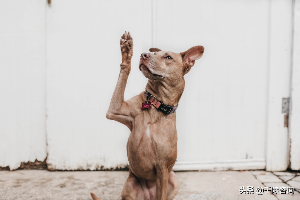 2022年招投标行业研究报告