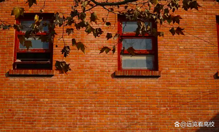 上海师范大学复名华东师大的4年后，上海师范学院又改成上海师大