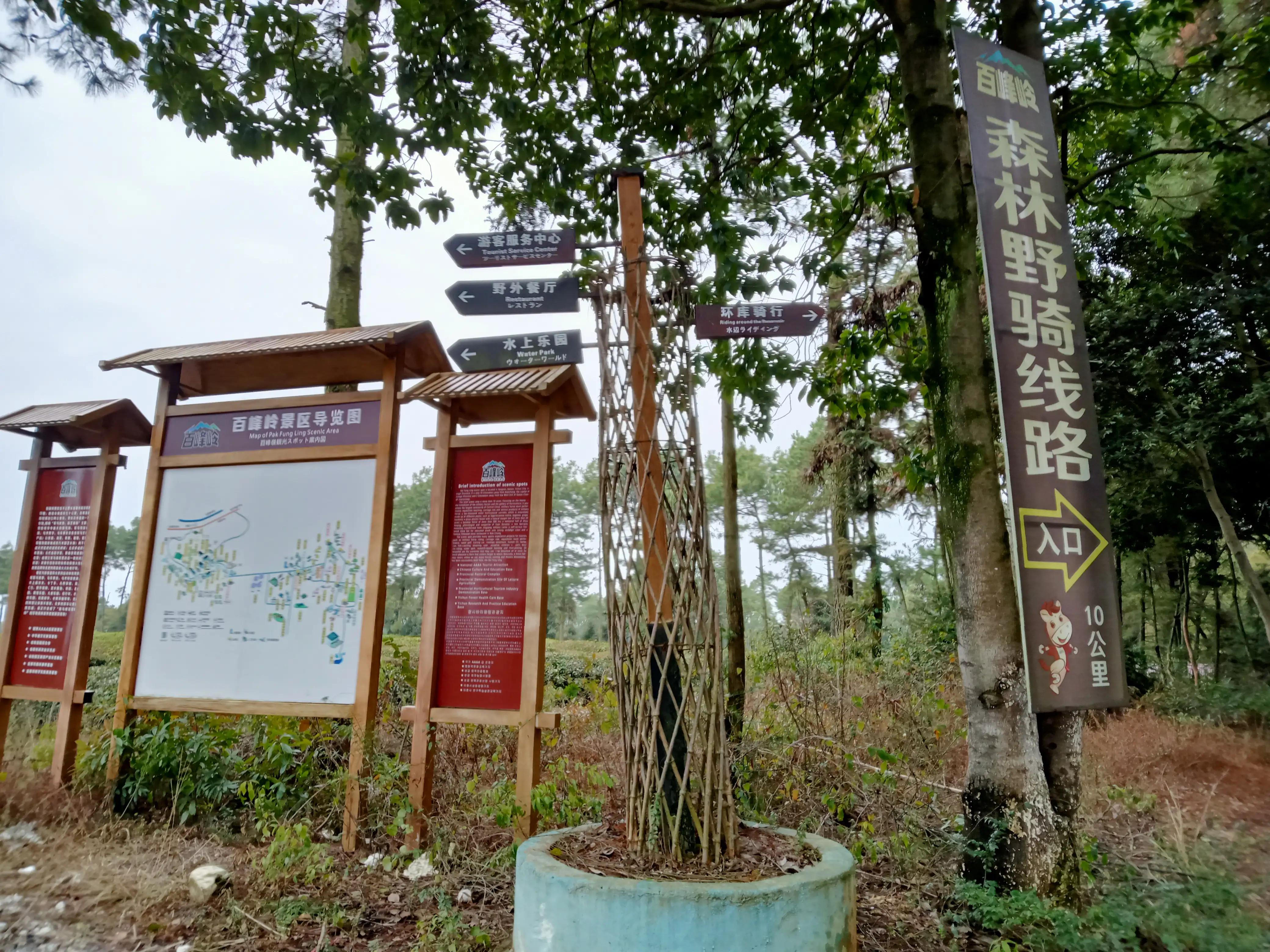 虎年春节好新年快乐！温馨祝福，拜年啦！分享江西高安百峰岭风景