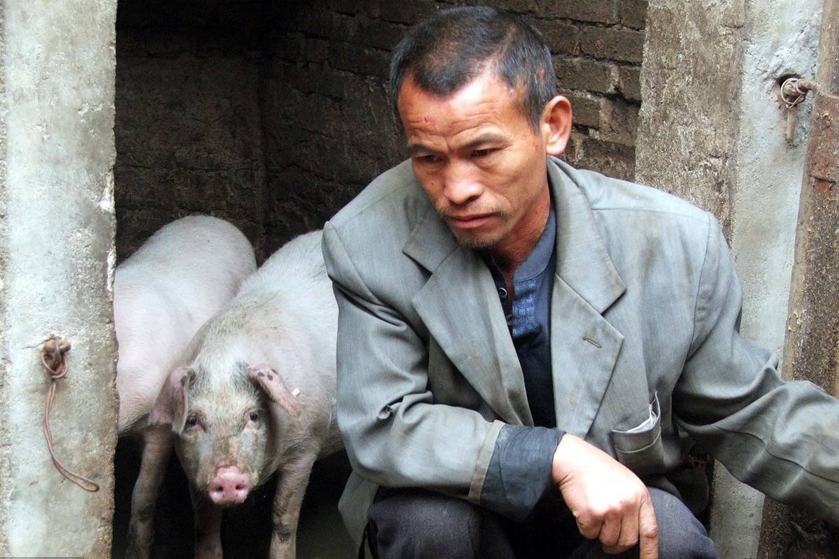 12月2日，猪价止跌上涨，养殖户面露难色，怎么回事？3个坏消息