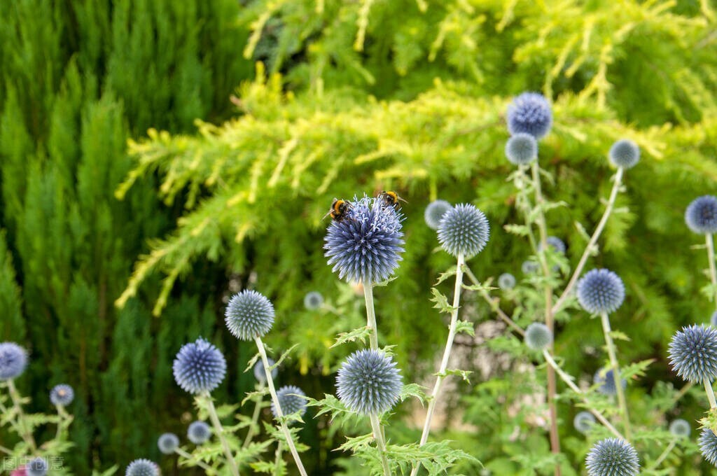 深情催泪情感美文：曾经的爱恋，曾经的悲欢