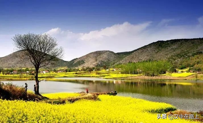 全部免費(fèi)！漢中鄉(xiāng)村賞花攻略出爐！妥妥安排