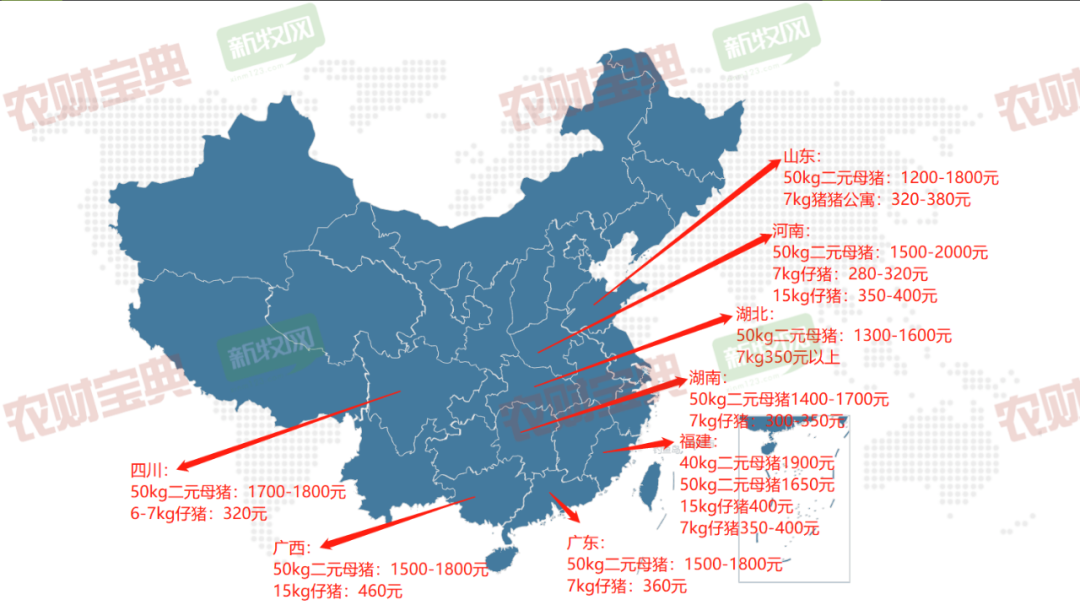 8省补栏现状调查：二元母猪低至1300元，仔猪280元！仍然没人买？| 农财数读