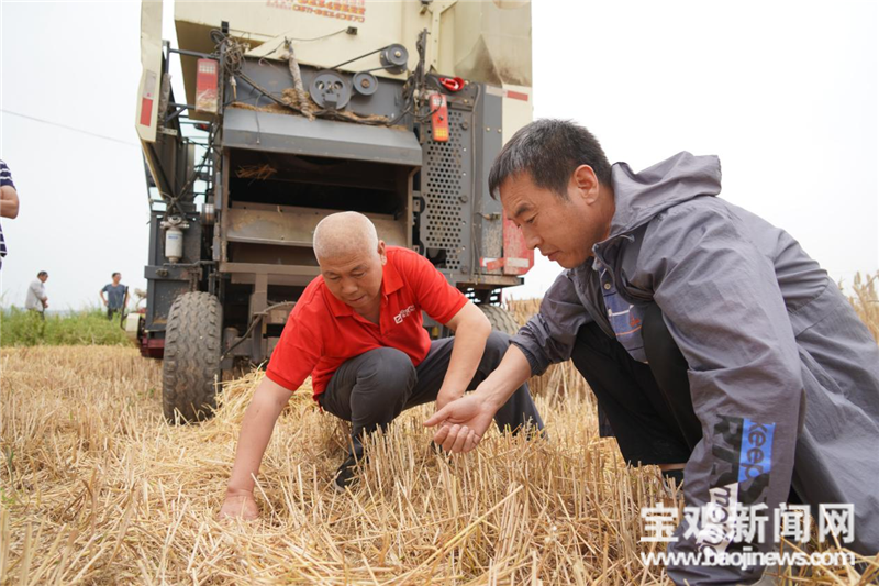 「寶雞三夏進行時」一位農(nóng)機手的糧食安全觀