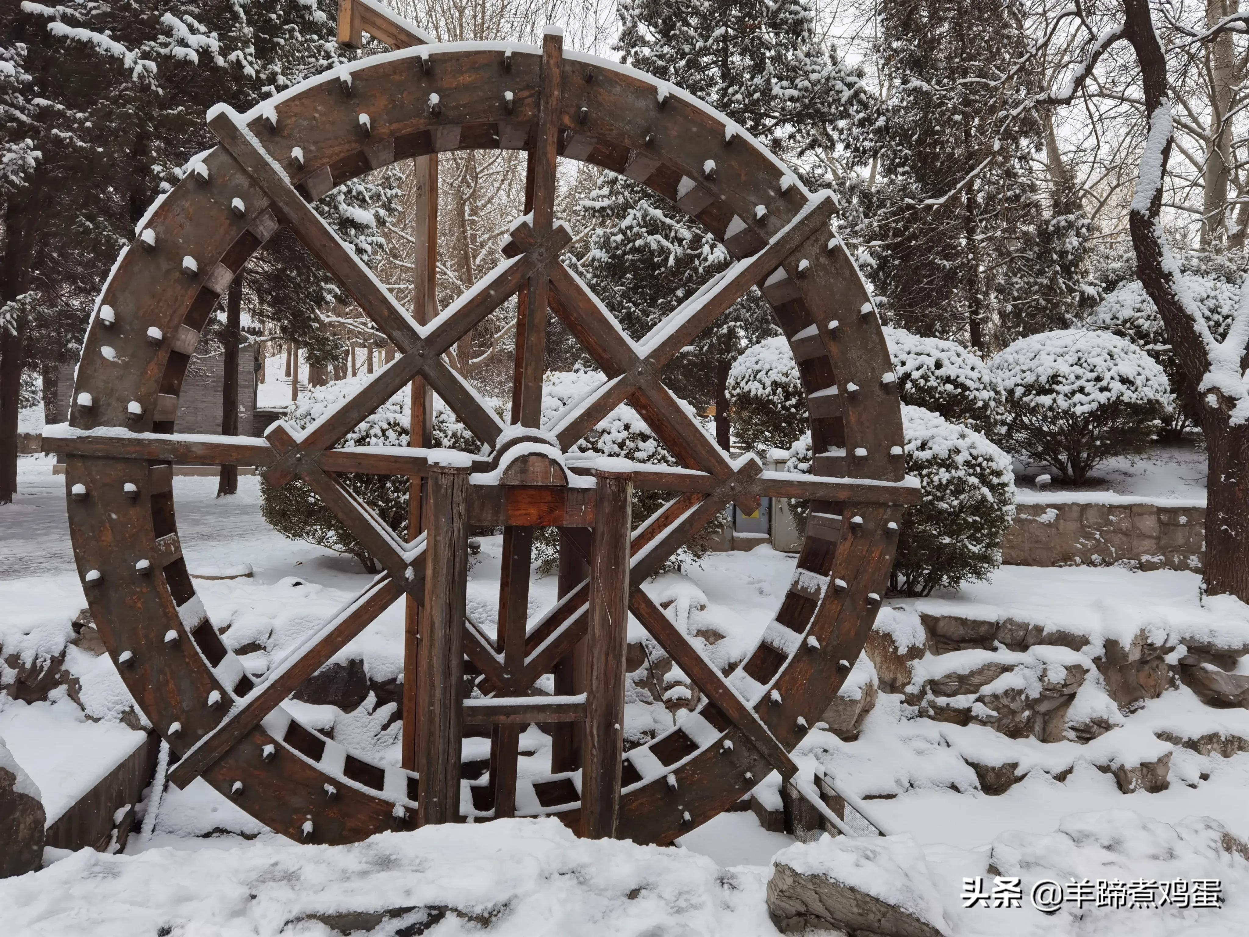 难览观园全画景雪覆腊梅一隅香——踏雪寻游北京大观园