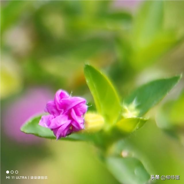 难怪照片不好看，这些拍照时的“坏习惯”，摄影新手经常犯
