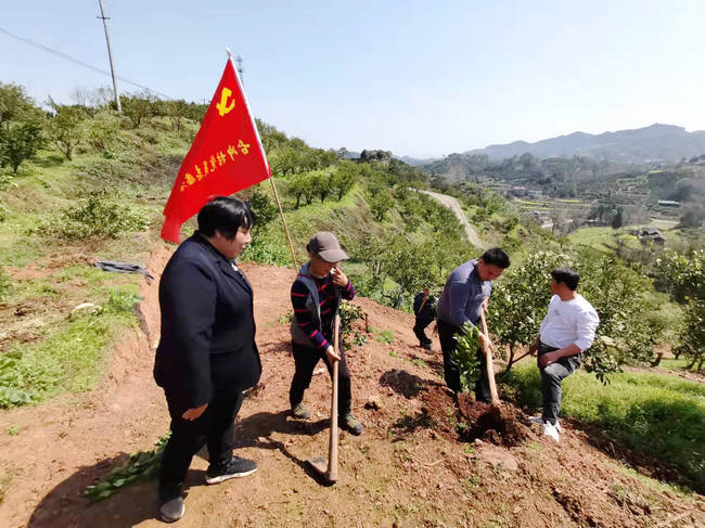 湖南芷江禾梨坳启动“古冲柑橘文化科普园”建设