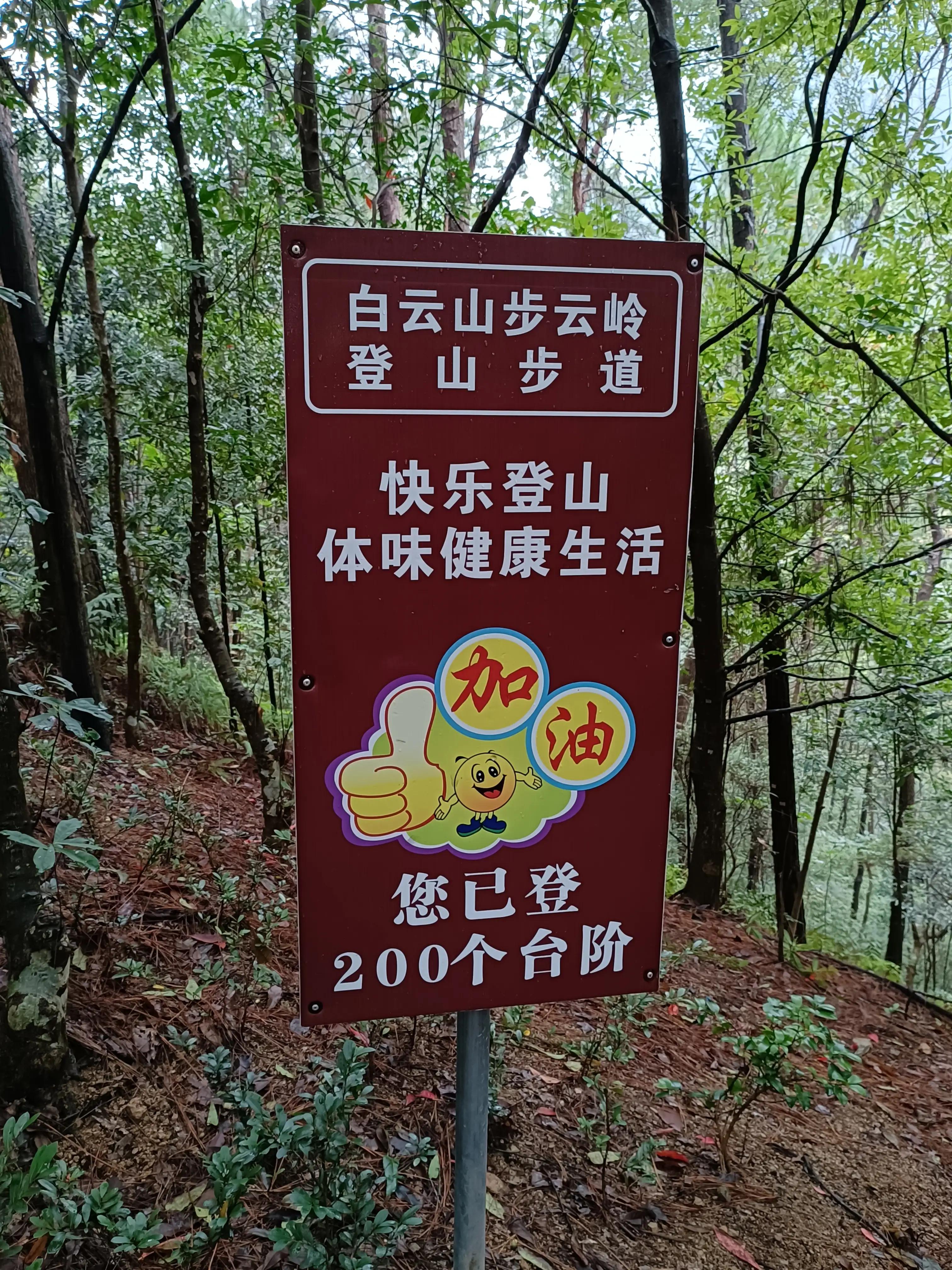 行到水穷处，坐看云起时一一雨游白云山