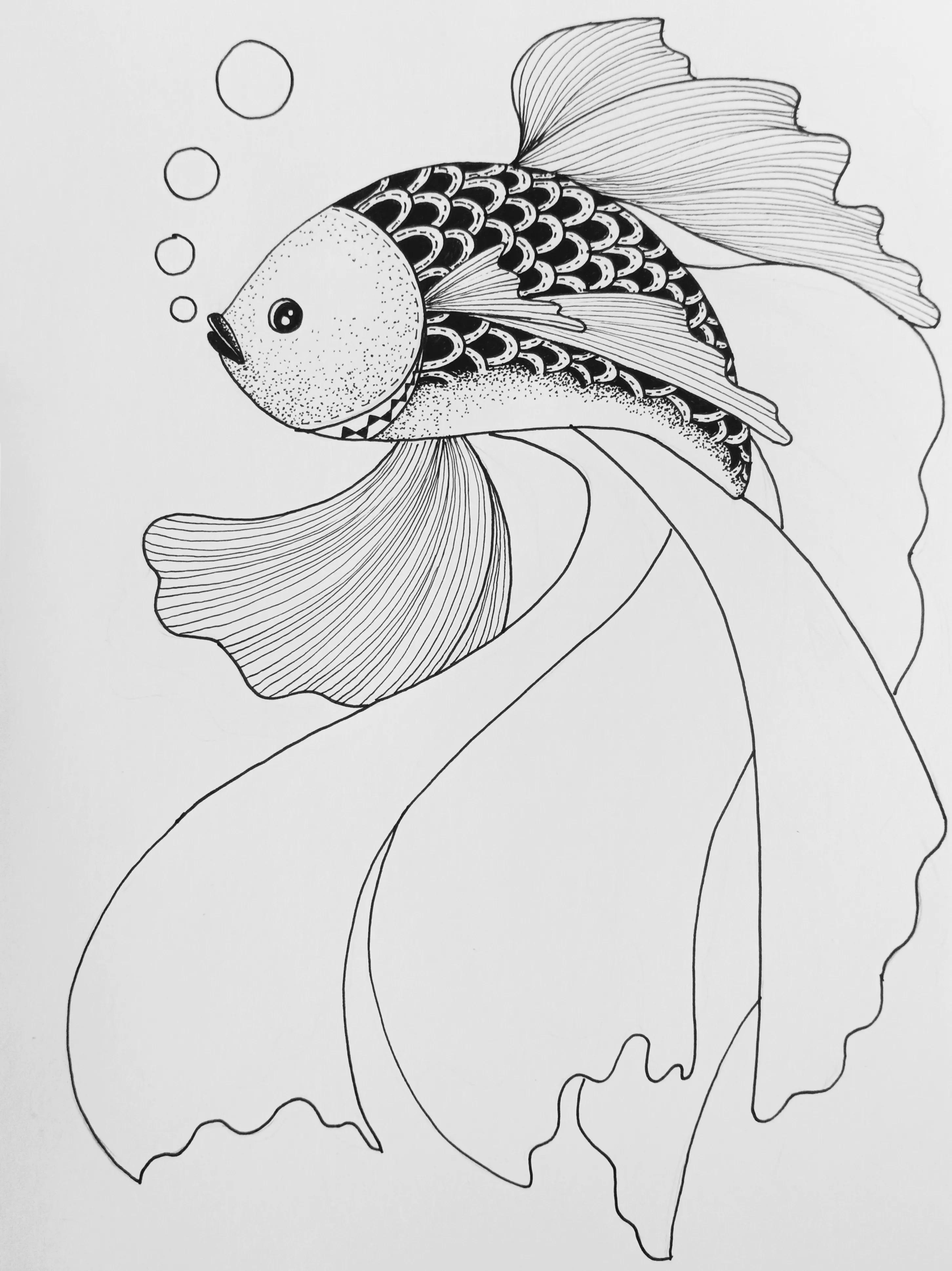 我画的第六条鱼,祝高考生考试顺利