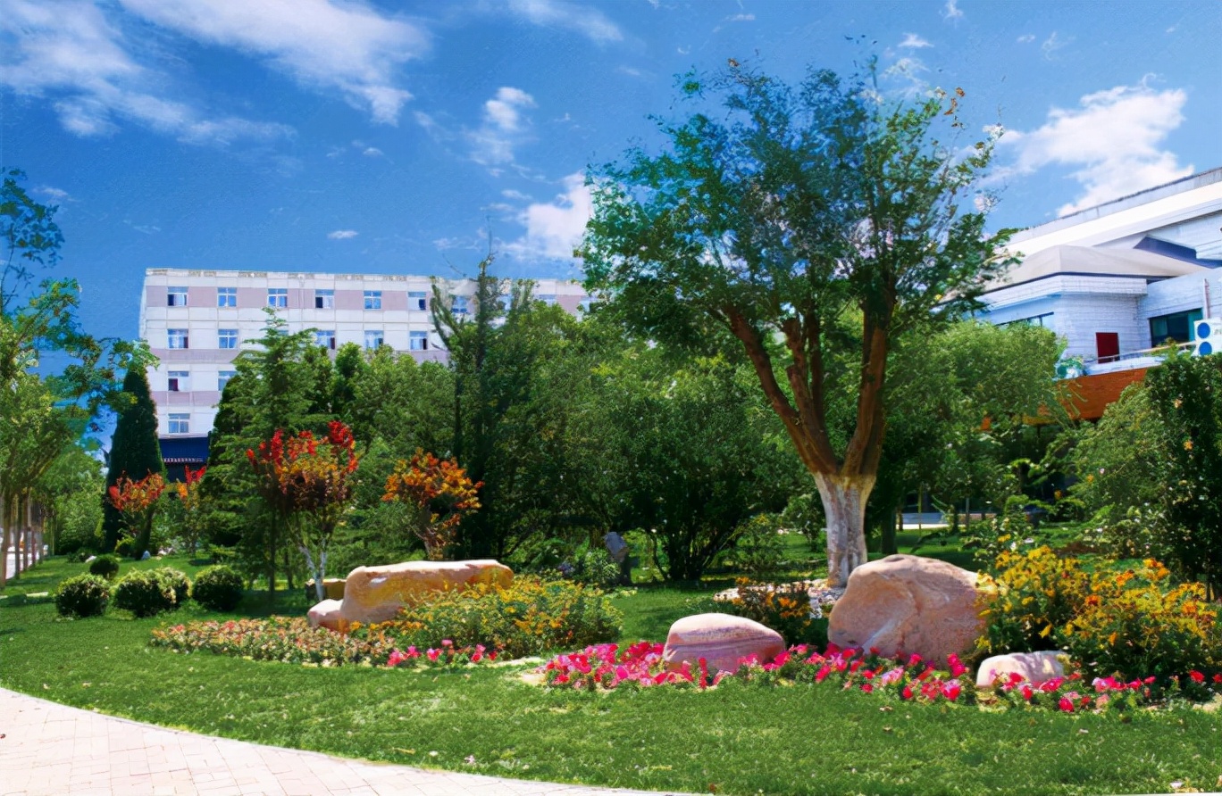 招生300人美术统考240分，天津城建大学2022年文化需要多少分？