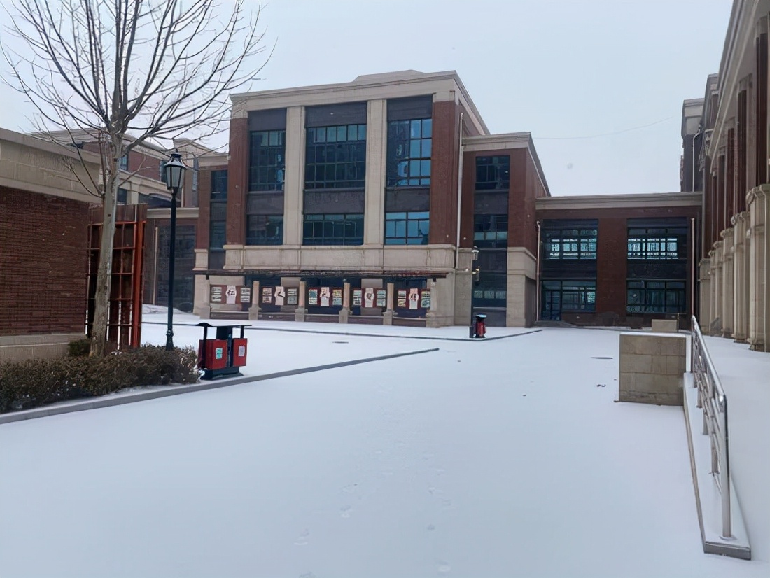 雪落校园，惊艳了冬天！快来欣赏正阳街小学校园雪景