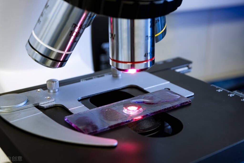 人为干预生物遗传的基因工程