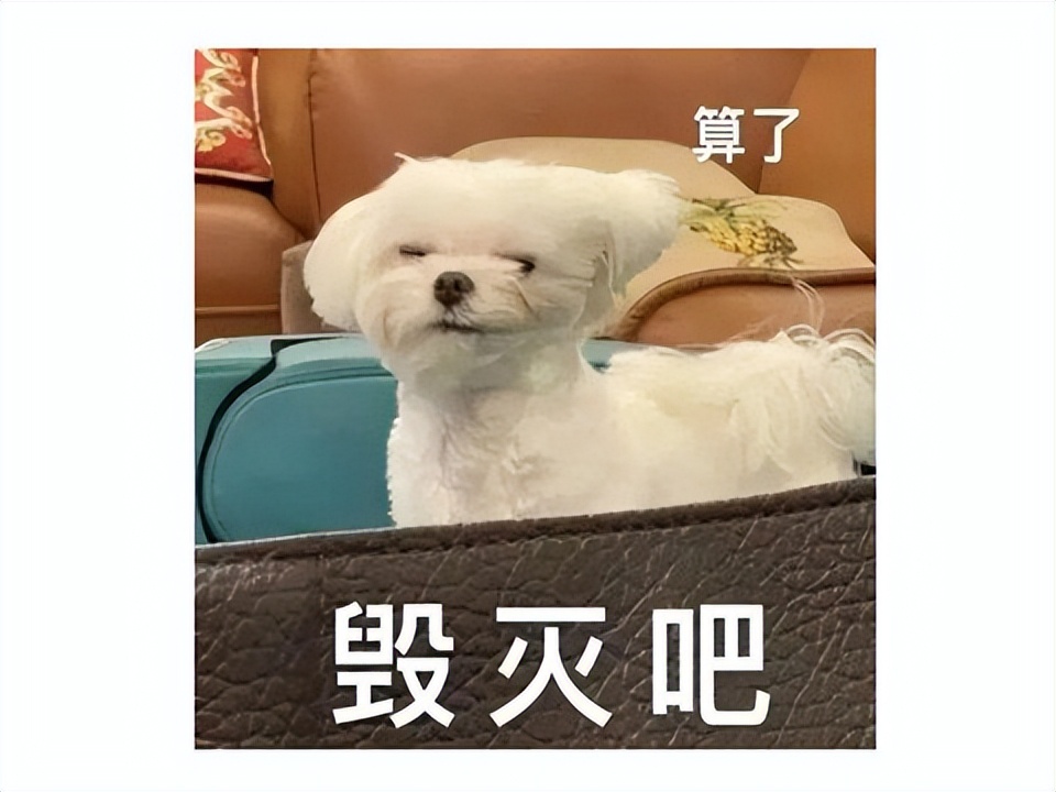 免费的网游（免费的网游游戏）