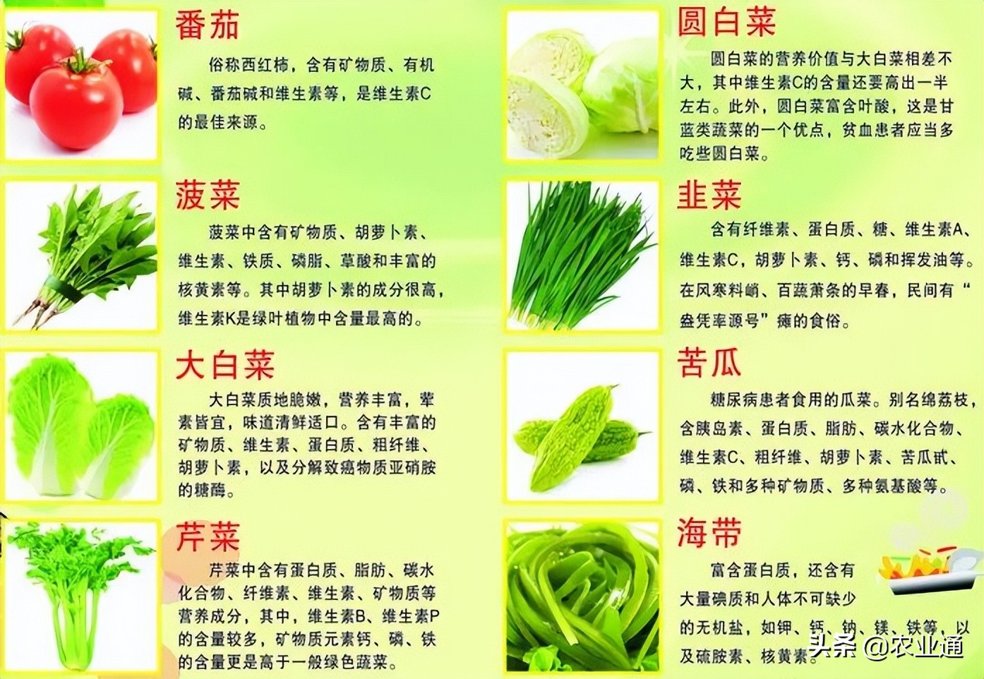 常见100种蔬菜图片名称图片