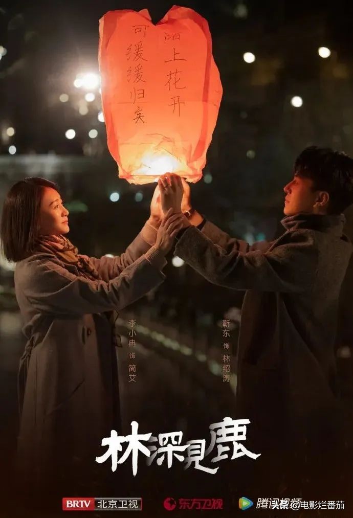 首播当晚，双卫视冠亚军，霸总靳东和“作女”李小冉的CP配一脸