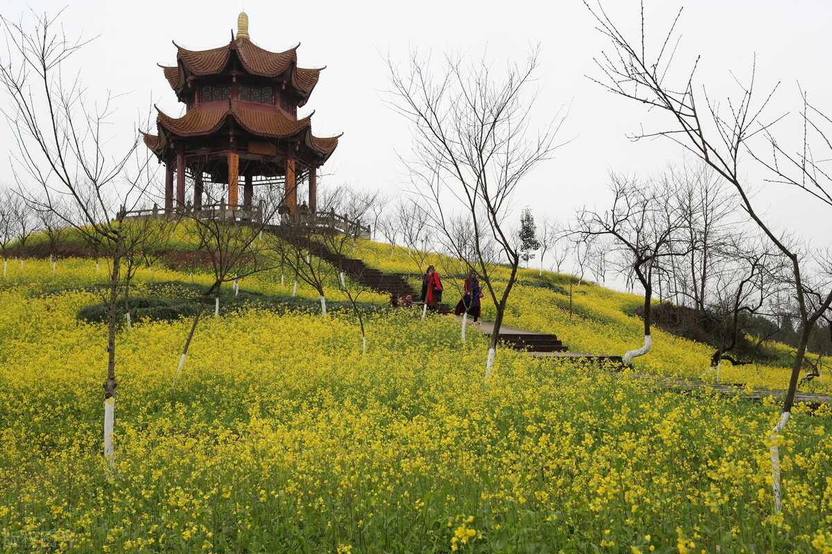 考研避坑：盘点5所考研复试淘汰率高的大学，对普通学生影响大