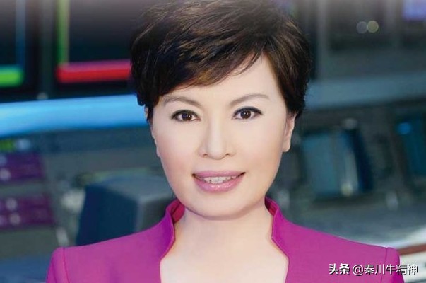 《新闻联播》主持人中9对最佳搭档