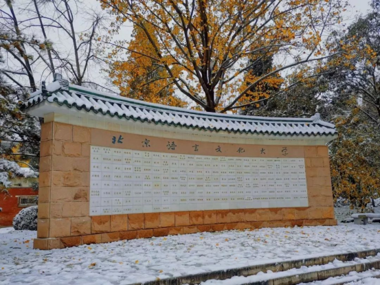 “语”你一起，共赴未来！北京语言大学：在这里，会五洲好友，看大千世界！