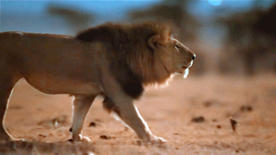 黄渤+徐峥+宁浩的黑色幽默，定档6次被禁4年，只因片里没一个好人