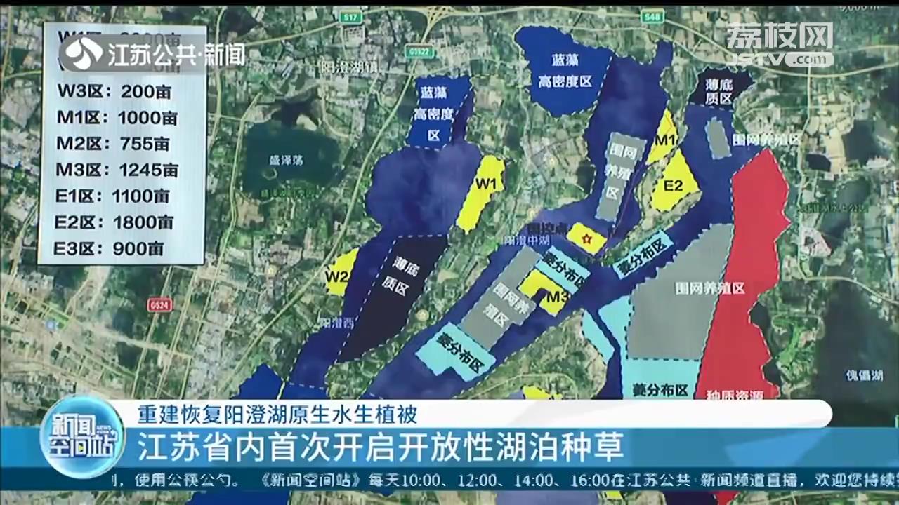 重建恢复阳澄湖原生水生植被 江苏首次开启开放性湖泊种草