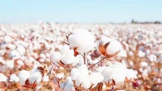 �й�����������Ӱ��������ϵ�������ĺ�����������Ӱ���ϵ�ĸ�Դ