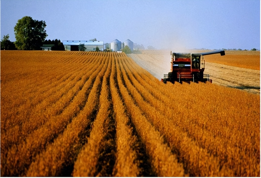 中国连抛1001亿美债后，开始大规模买进美大豆，外媒：或采购更多