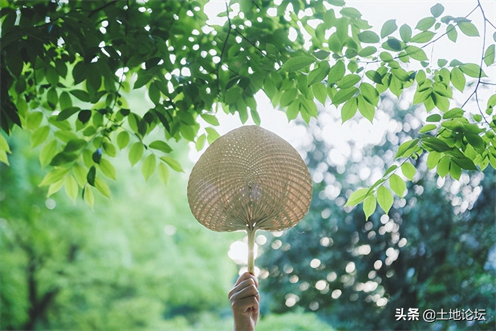 夏至和立夏是什么意思，立夏和夏至的来历和寓意