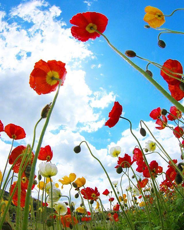 朋友圈小清新早安说说，短小精致，一秒倾心