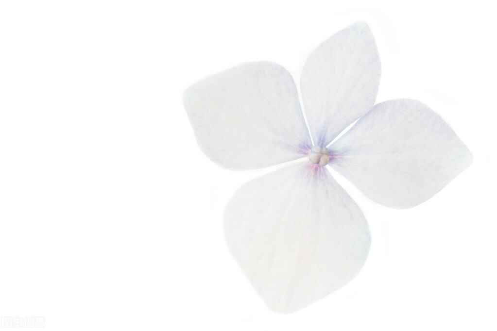 意识形态工作计划、分析报告、研判报告、总结汇报、检视剖析