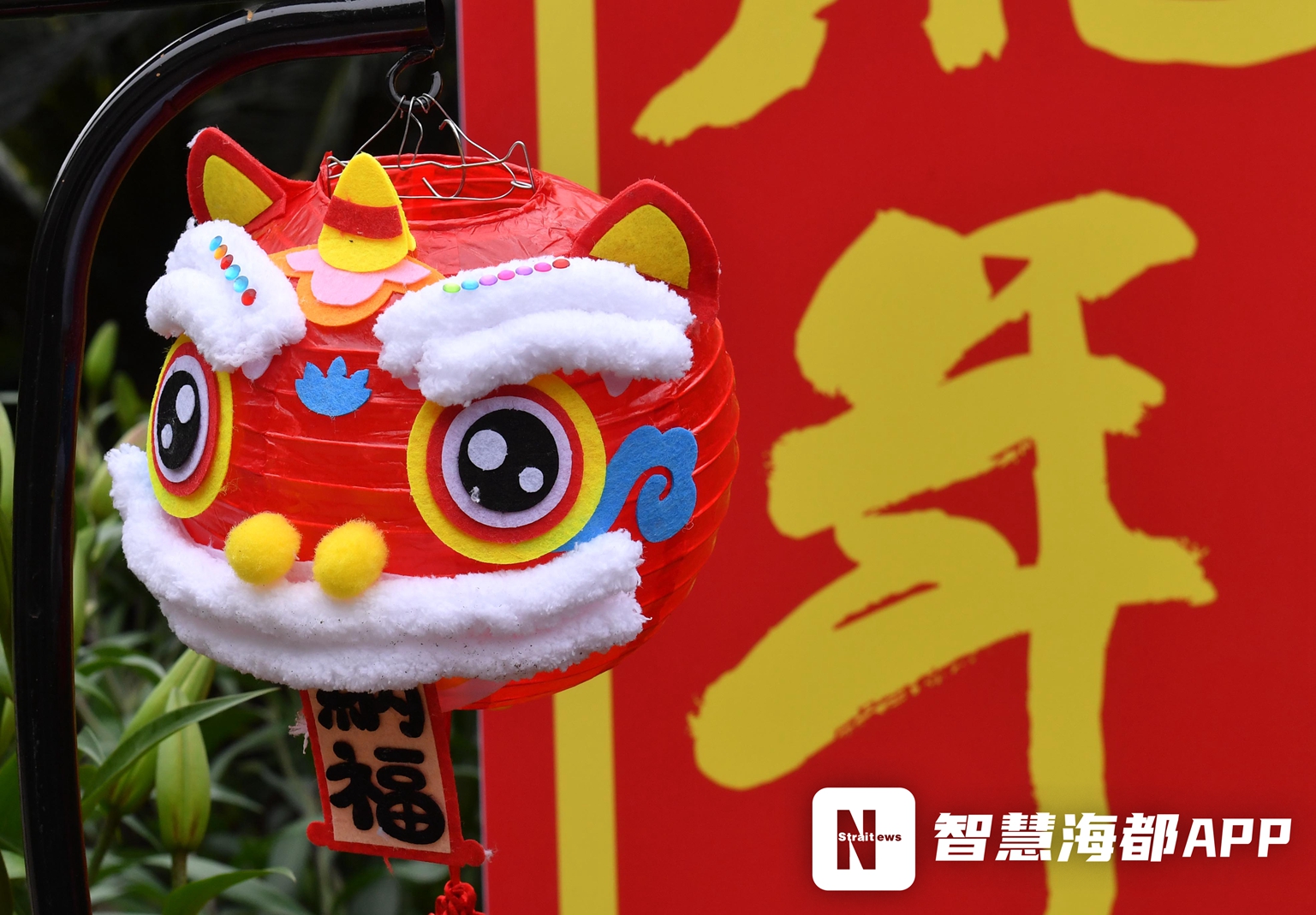 太靓啦！春节即将来临，福州17个公园换上“新装”