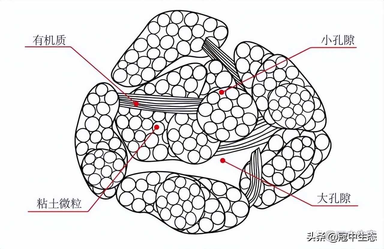 冠中生态｜揭开“优粒”土壤的神秘面纱