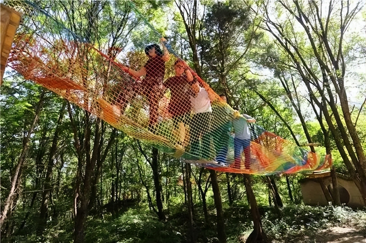 因麥積山而來 留植物園忘返！麥積山植物園帶你體驗叢林探險的樂趣