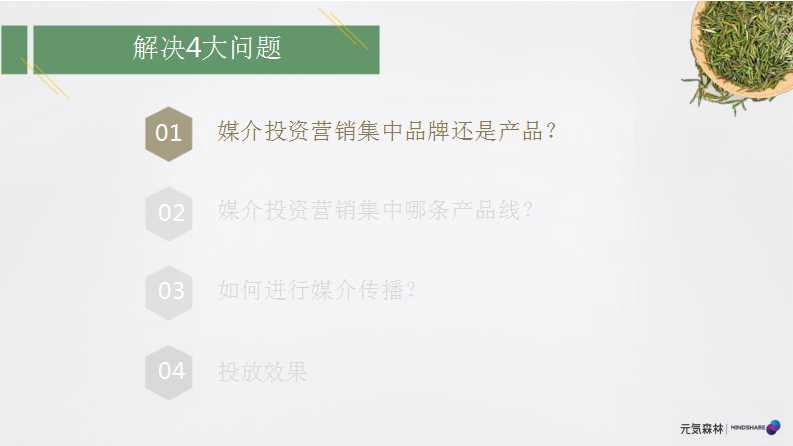 元气森林森林媒介投资规划PPT「食品饮料」「种草带货」