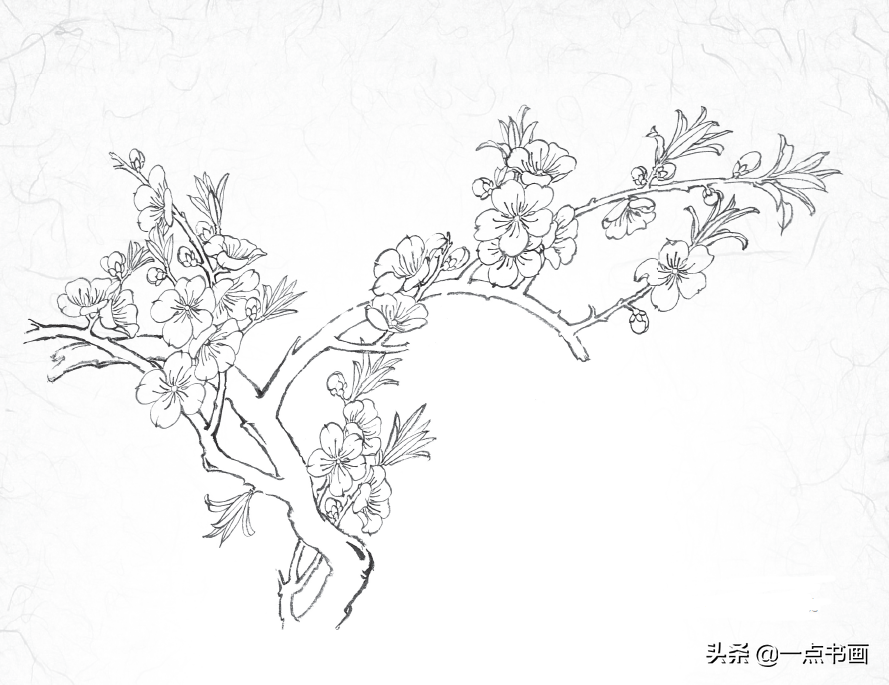 一棵桃花树简笔画手绘图片