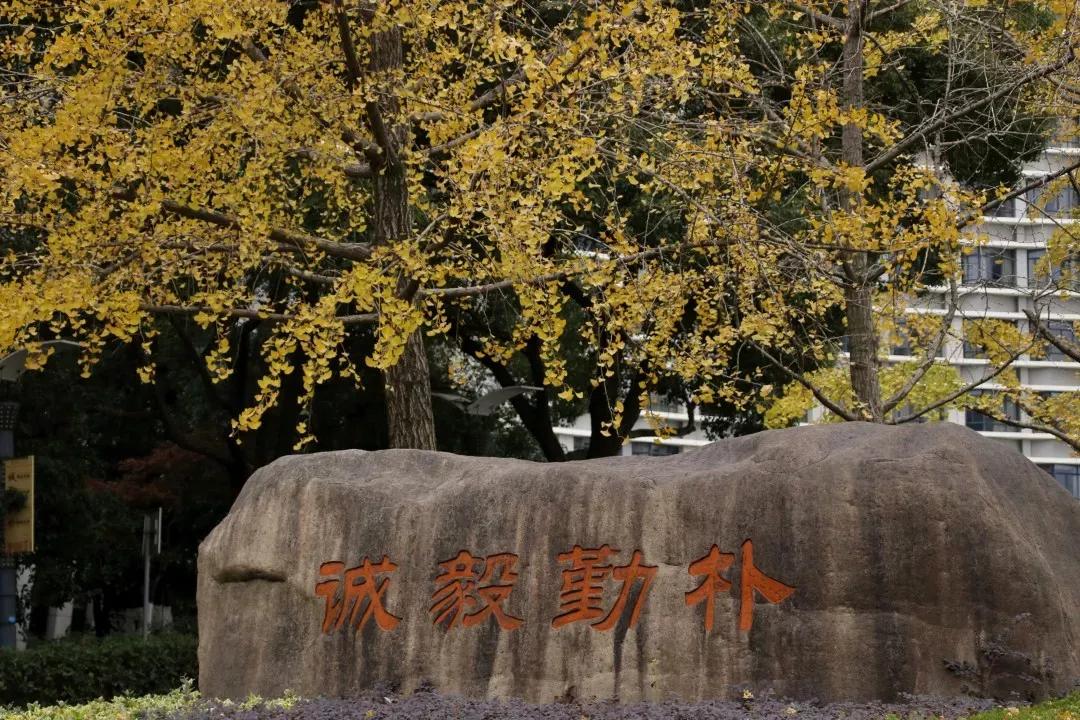 浙江工商大学统计与数学学院(浙江工商大学统计学考研分数线)-爱妻自