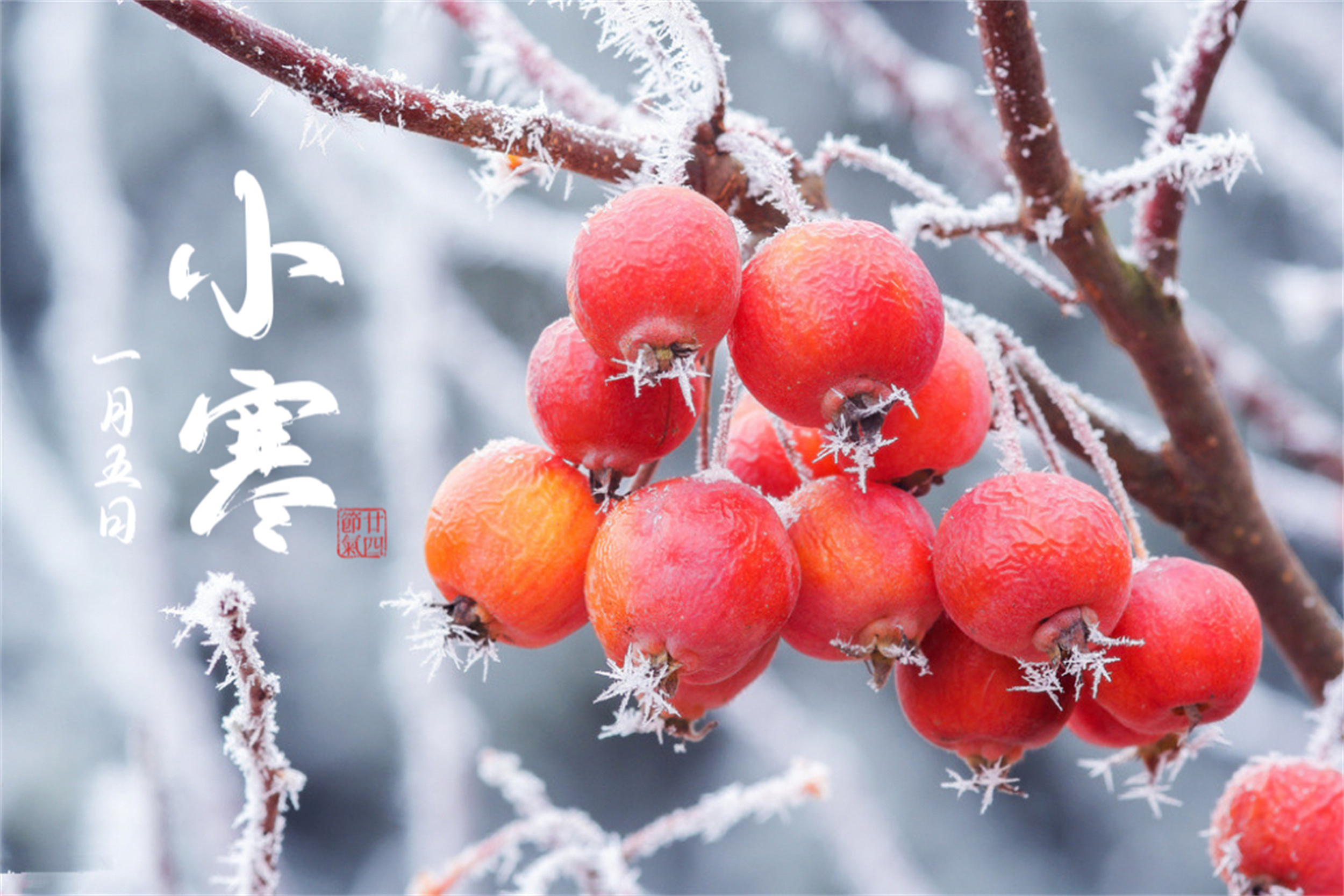 小寒不养阳,一年都白忙,明日小寒,别忘了吃"养阳5宝"来御寒