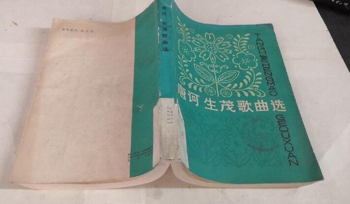 那一天知道你要走是什么歌（那一天知道你要有）-第11张图片-大连信息网