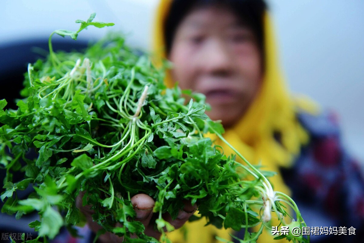 驴肉搭配什么蔬菜好吃（多吃这6种绿色蔬菜）