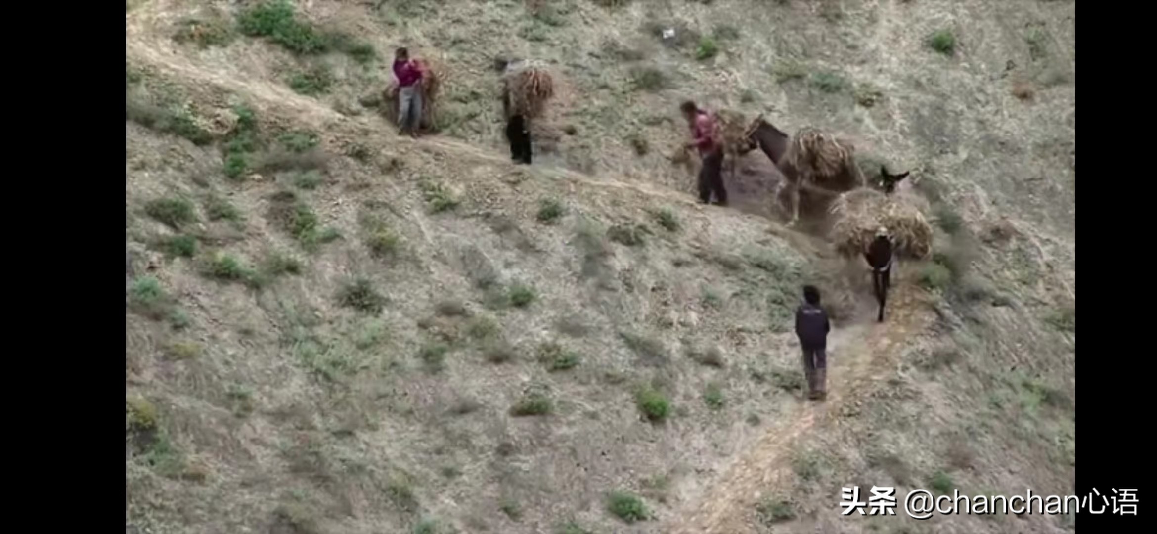 纪录片《出路》：今时今日，知识是否还能改变命运？