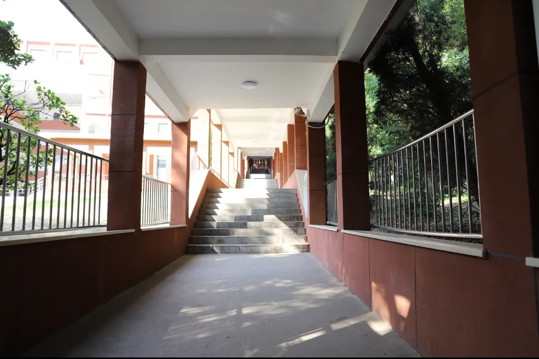 这次，华一寄还是没有发喜报