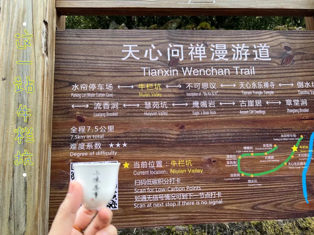 既然大紅袍、鐵觀音都是烏龍茶，那么烏龍茶到底是紅茶還是綠茶？