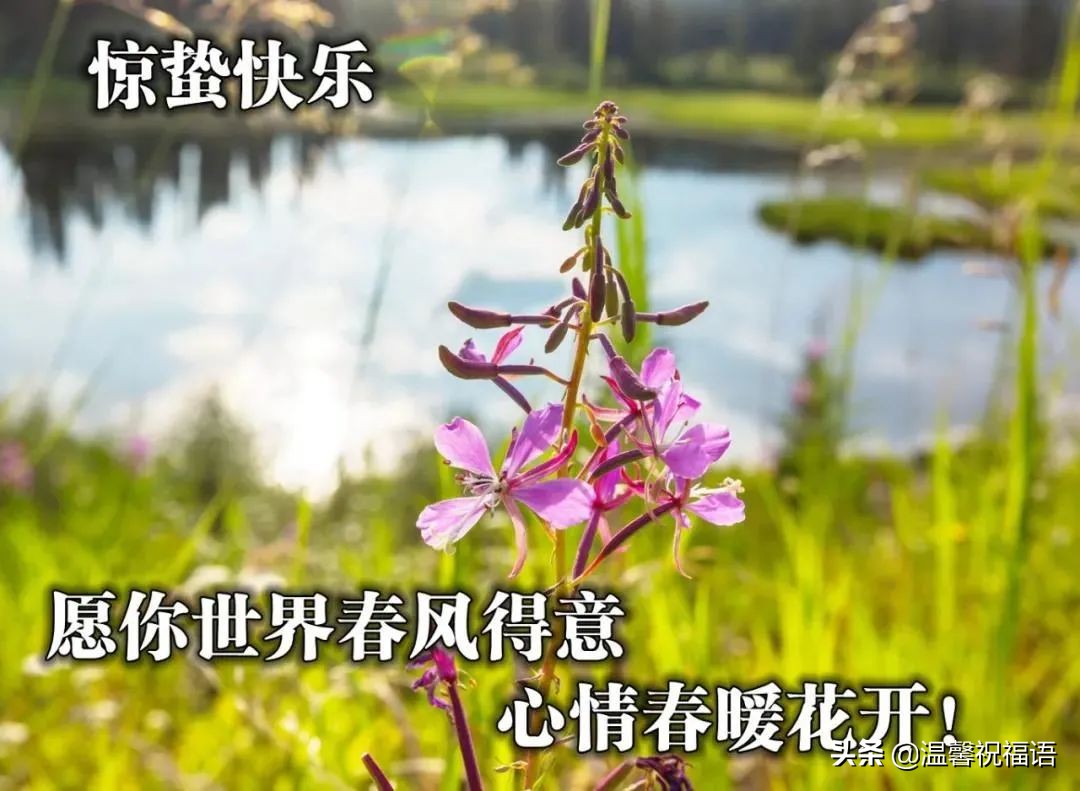 35@UϺÈDƬףZ @U옷ףԸҸ