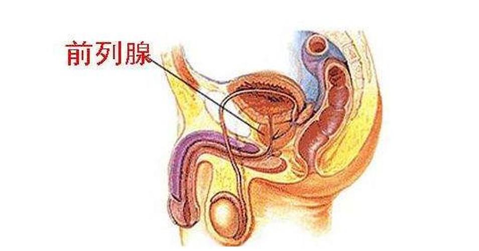 前列腺是“生命腺”，男性该如何保护前列腺？教你5个保养好方法