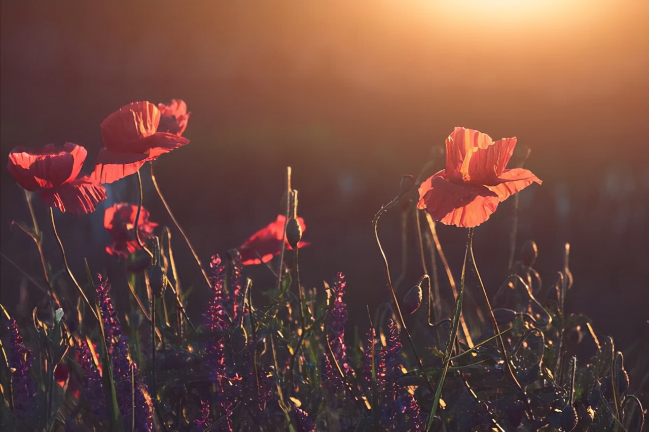 如果遇到了今生的真爱，你会有三种感应，每一种都很强烈