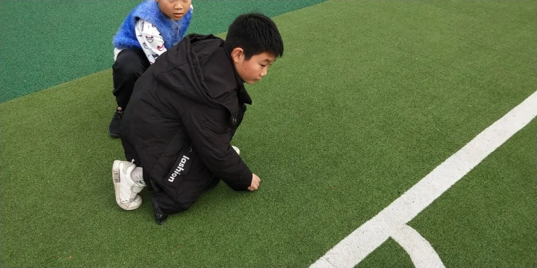 上好每一节劳动课——四川天府新区新兴小学开展劳动教育课程