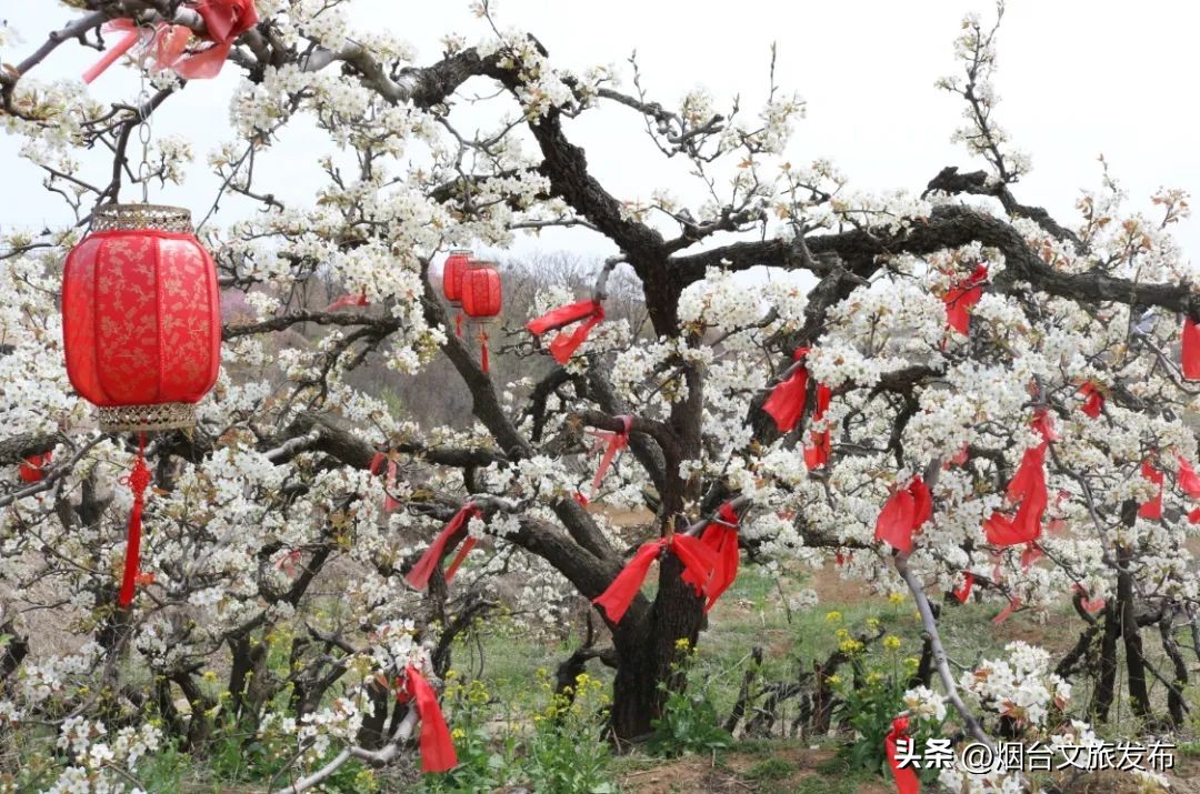 烟台旅游攻略必去景点（威海旅游攻略必去景点）-第3张图片-易算准