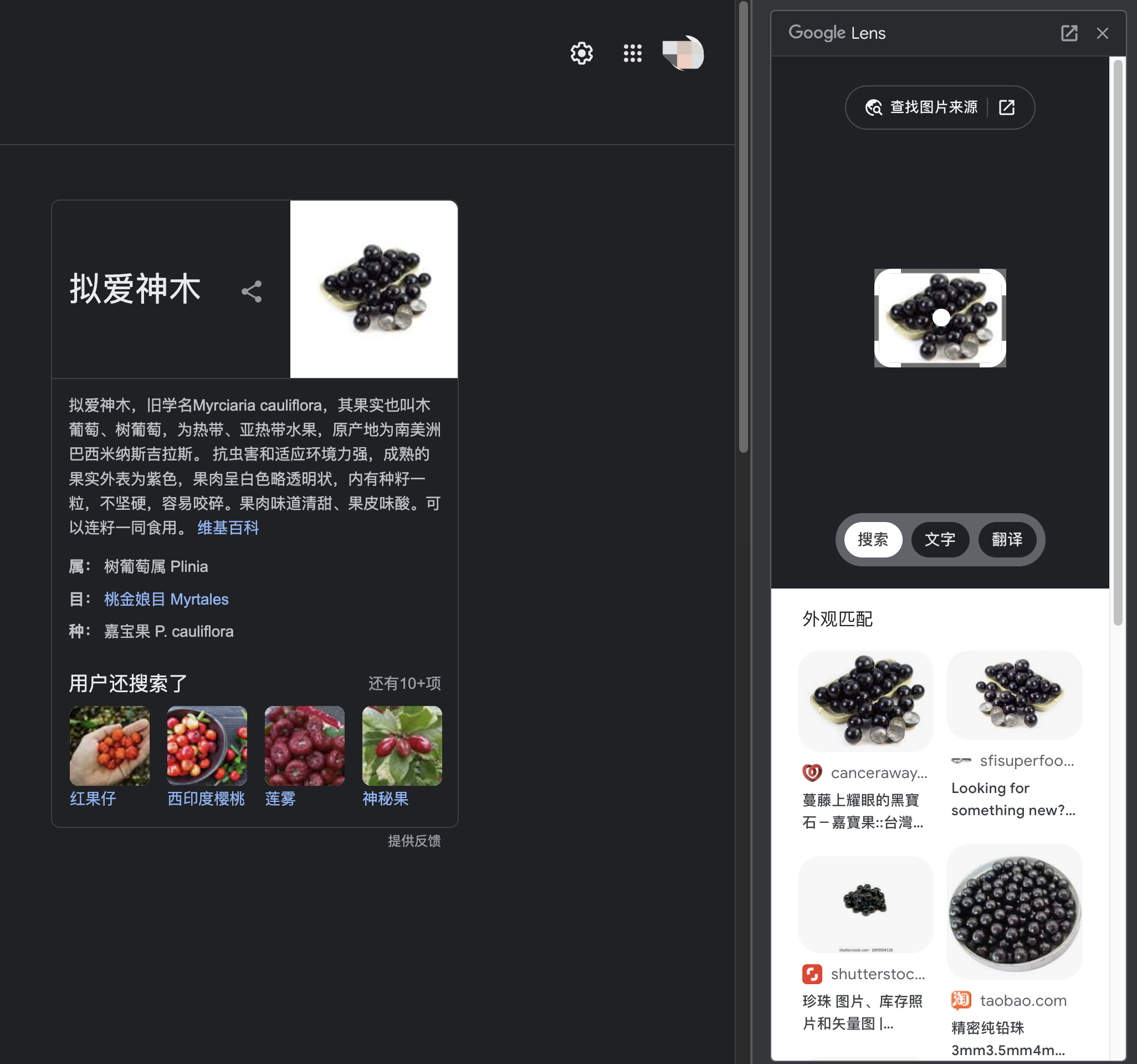 圖片在哪里找？類似圖片查找、圖片溯源